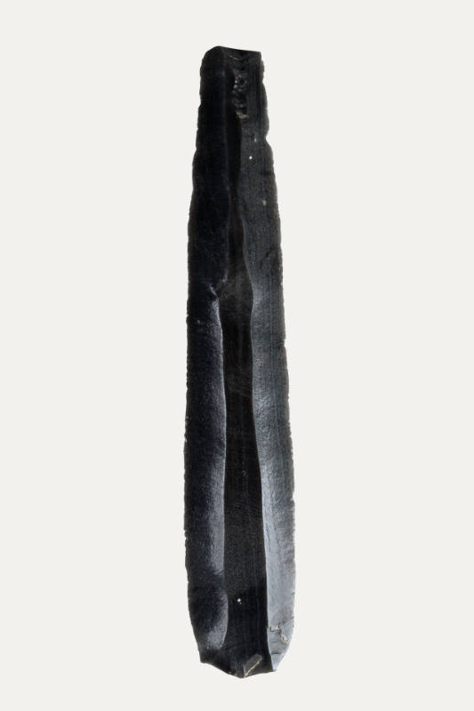 Λεπίδα